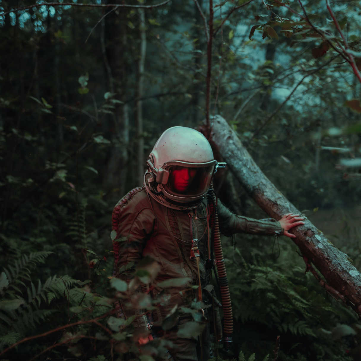 person wearing helmet exploring woods